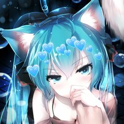 Cover of Miku Hatsune with Cat Ears