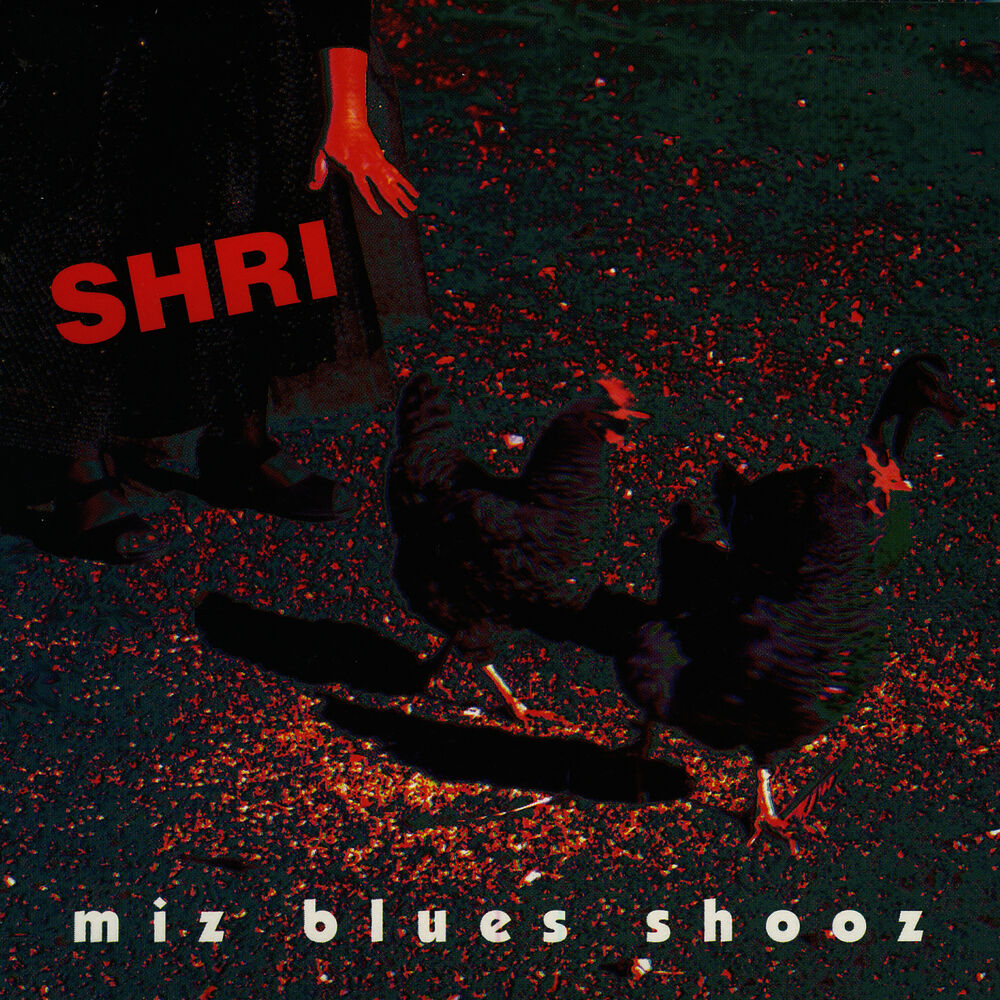 Picture of Miz Blues Shooz