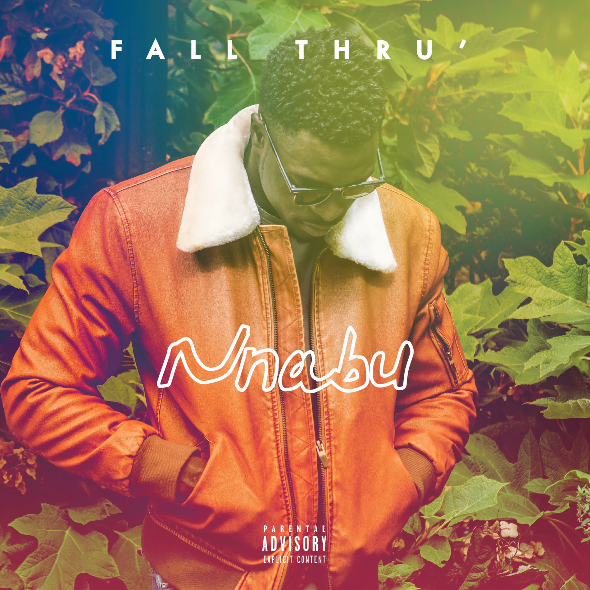 Album cover of Fall Thru