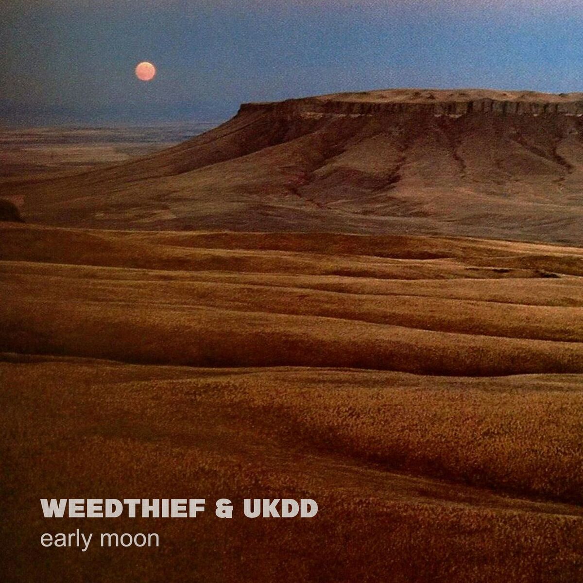 Album cover of early moon