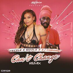 Cover of Can't Change Remix