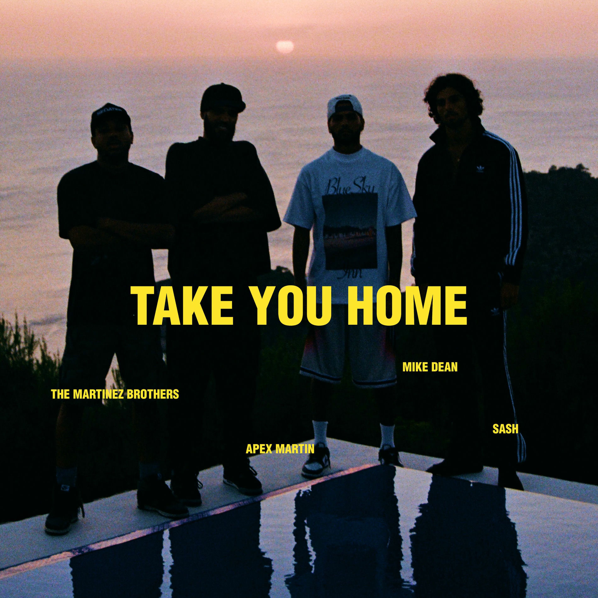 Album cover of TAKE YOU HOME