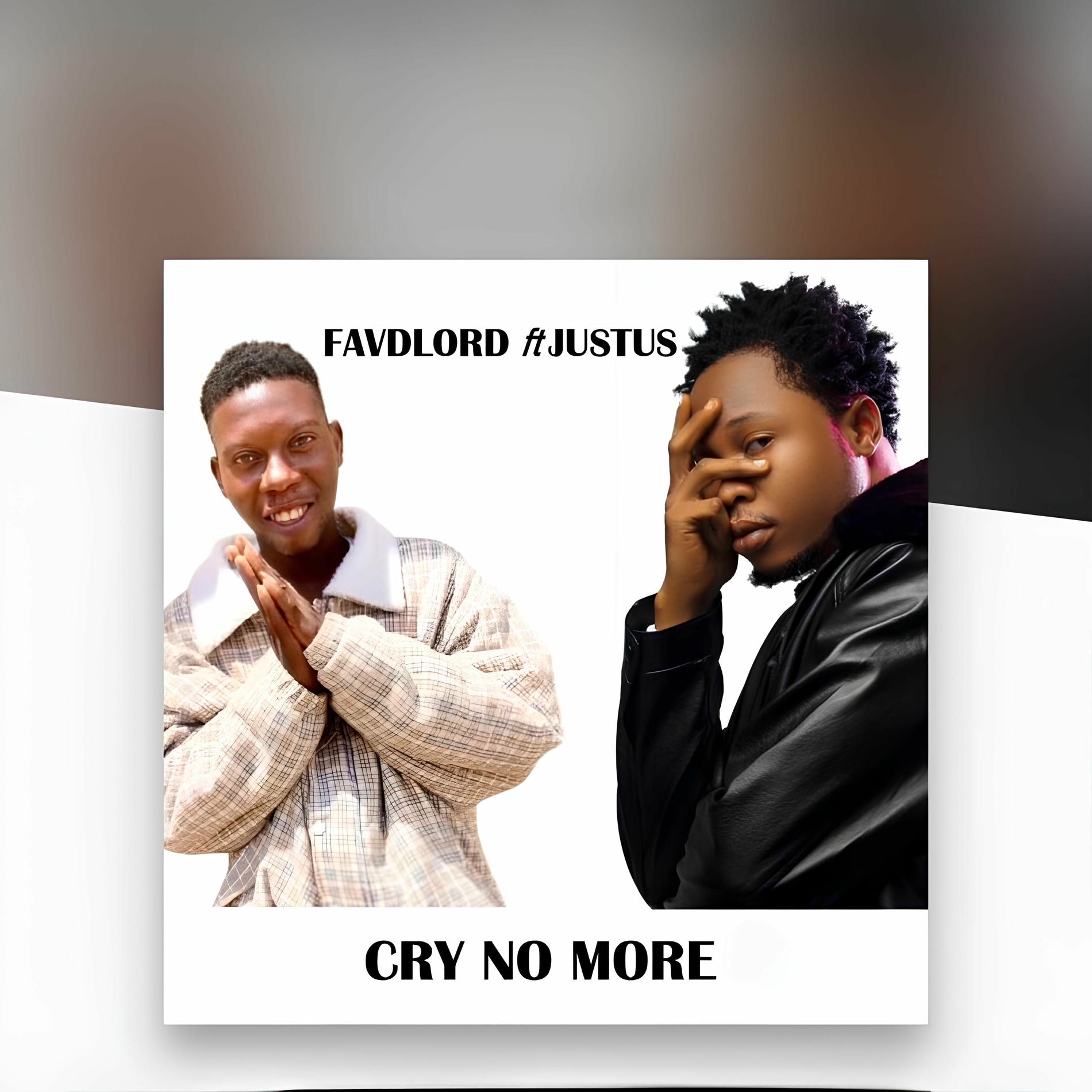 Album cover of Cry No More