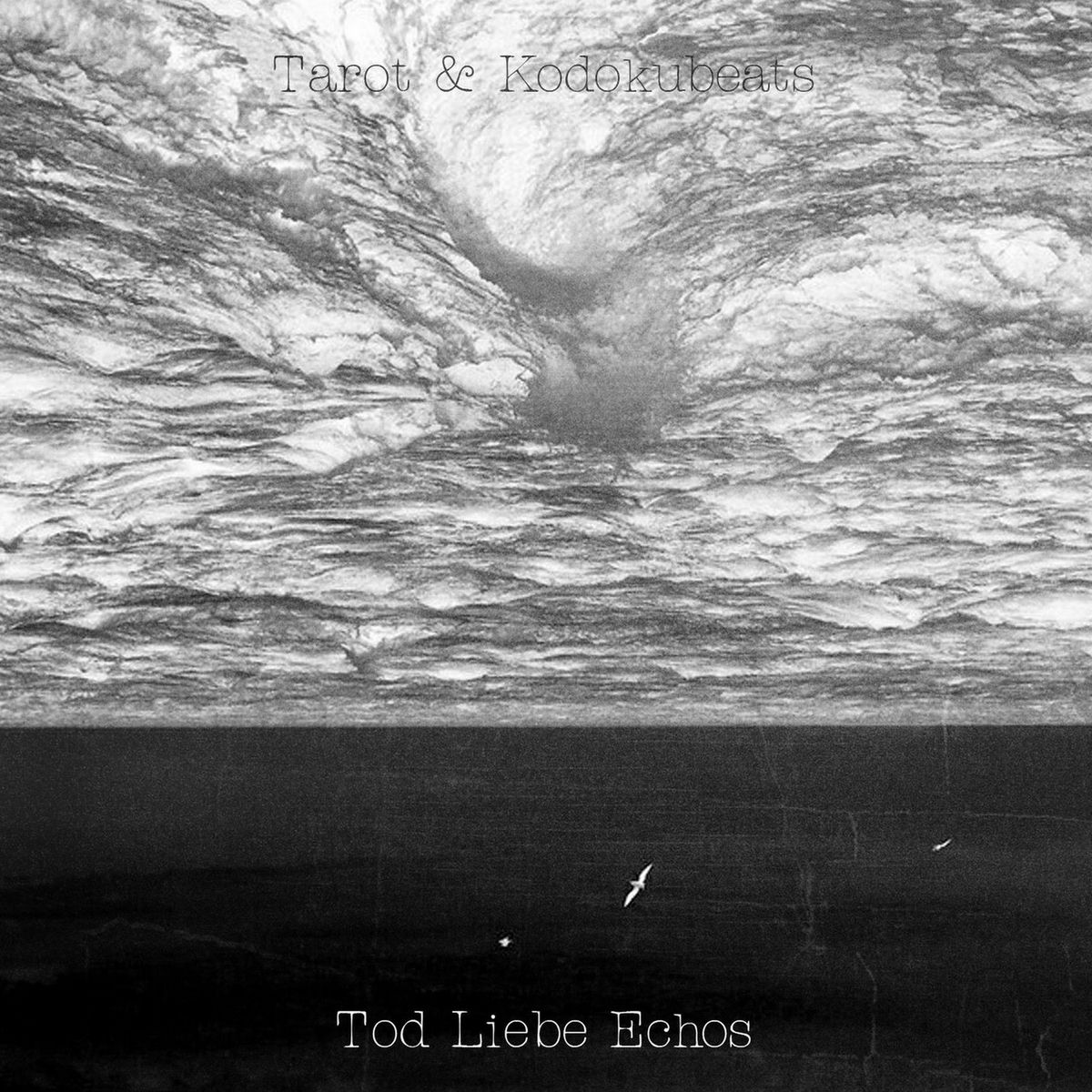 Album cover of Tod Liebe Echos