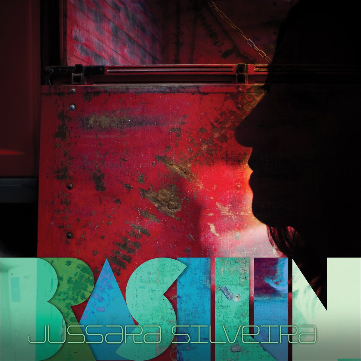 Album cover of Brasilin