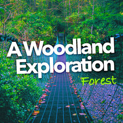 Cover of A Woodland Exploration