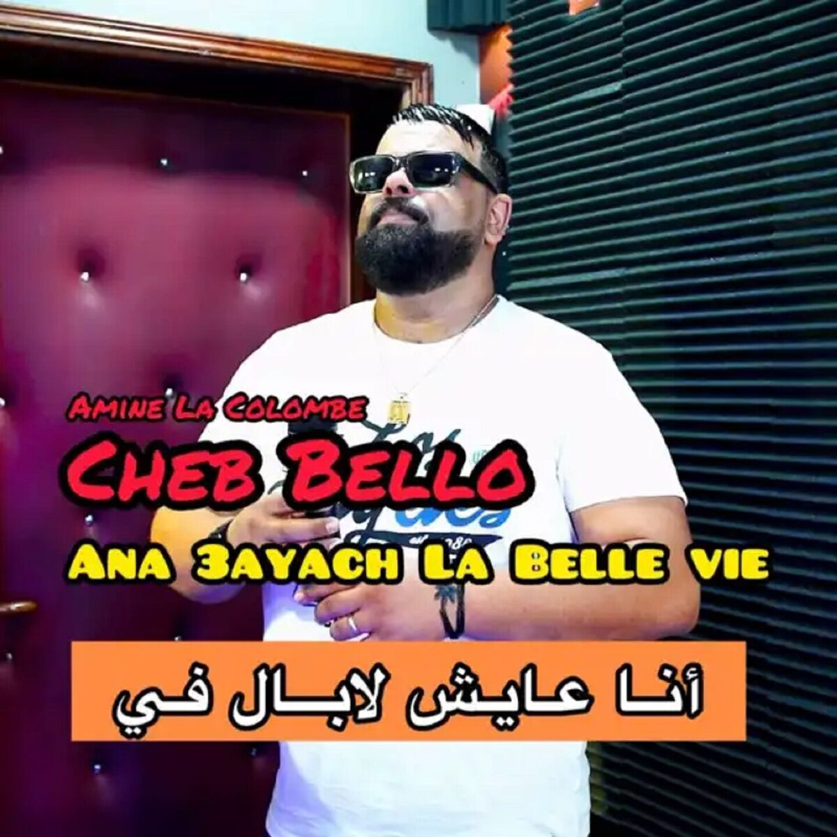 Album cover of Ana 3ayach La Belle Vie