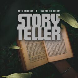 Cover of Storyteller (Main Mix)