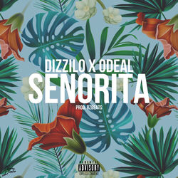 Cover Señorita - Odeal