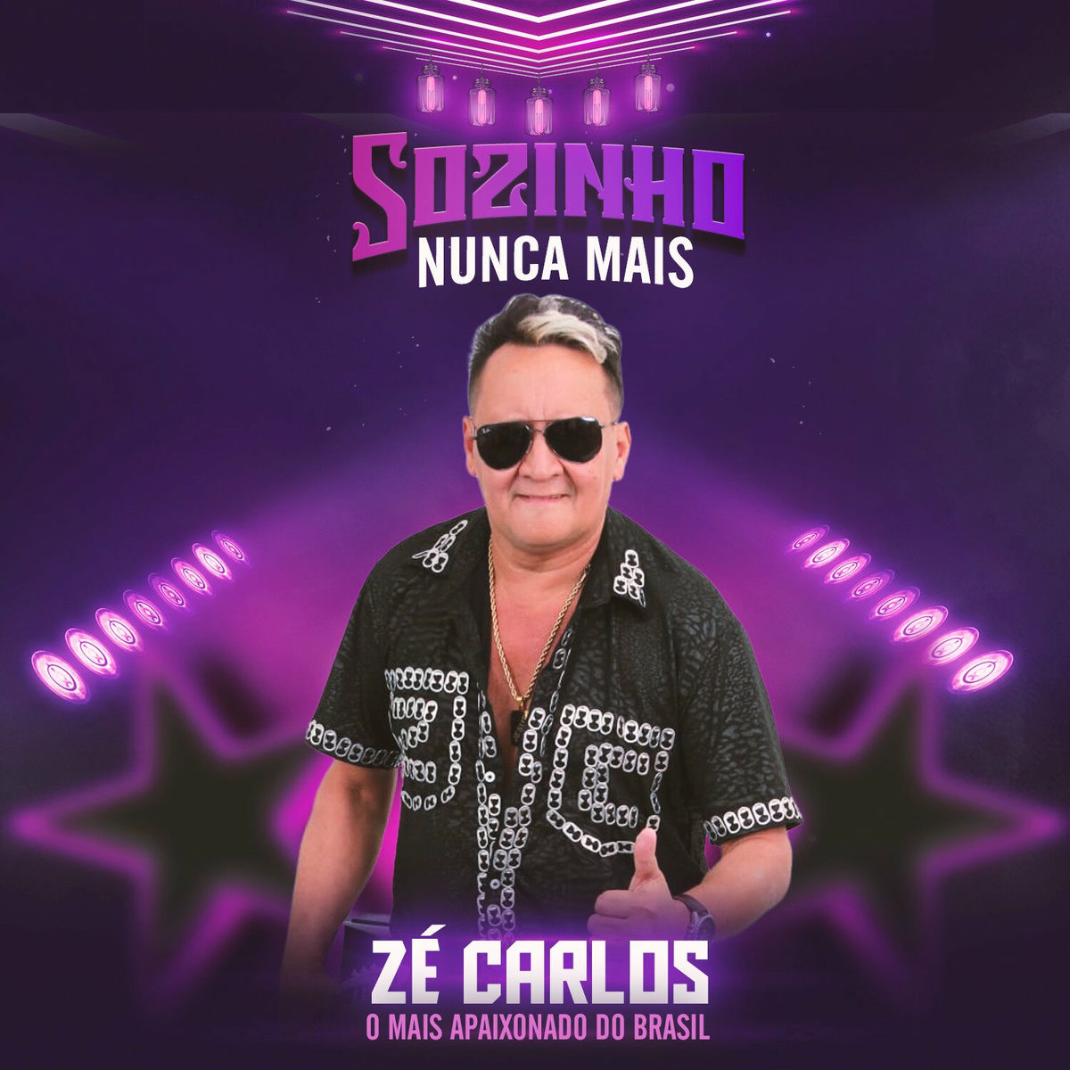 Album cover of Sozinho Nunca Mais