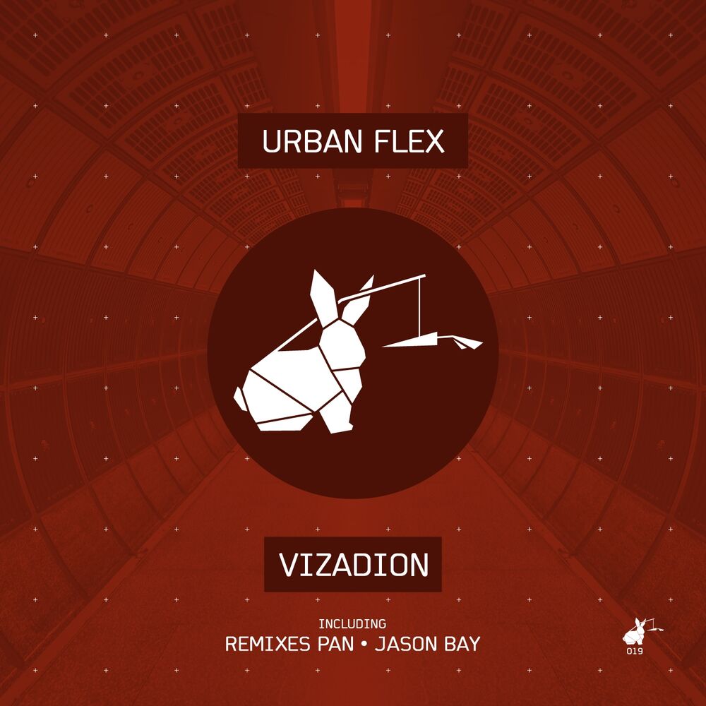 Picture of Vizadion