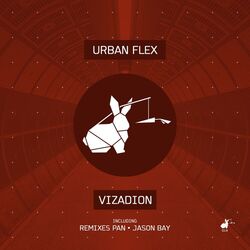 Cover of Vizadion