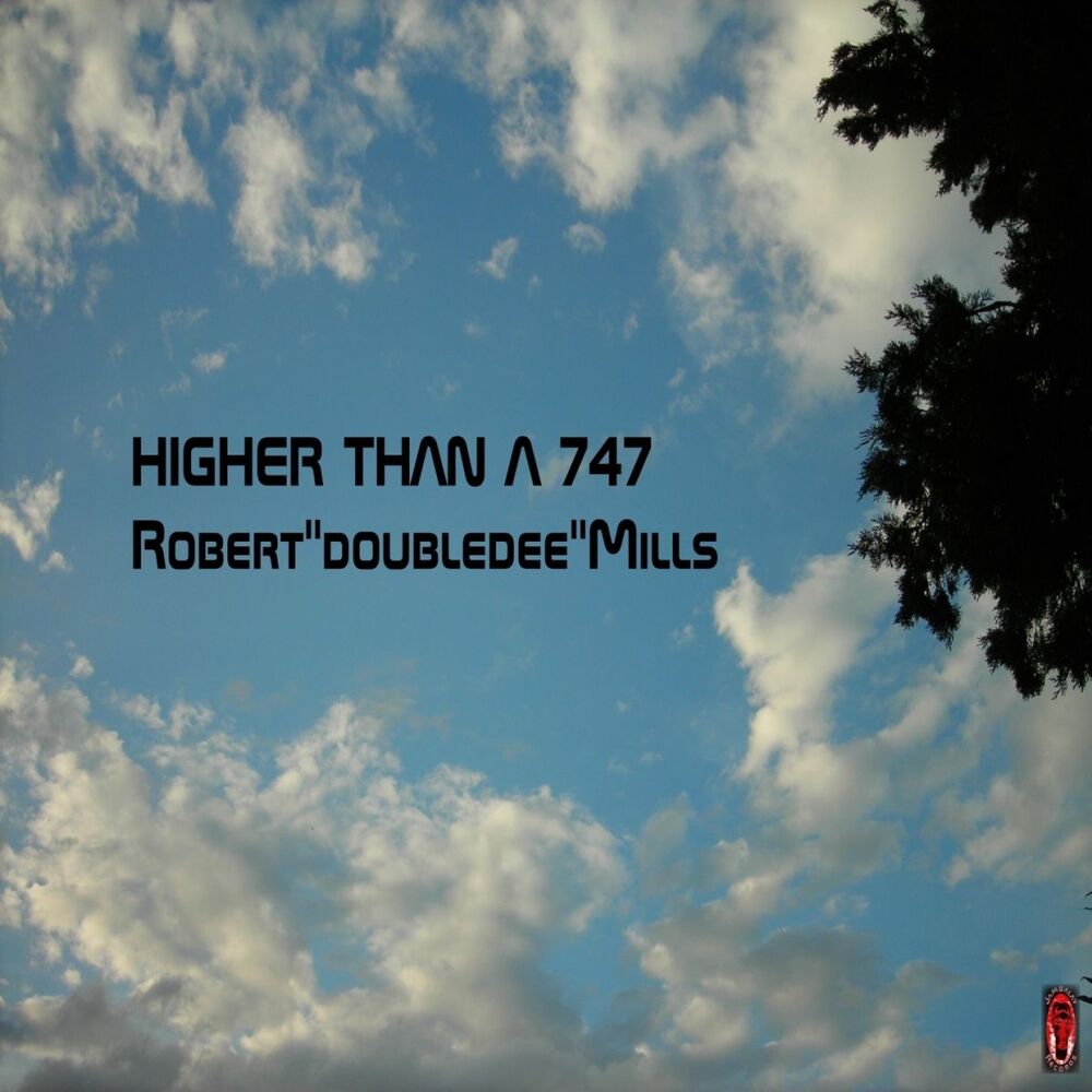 Picture of Higher Than a 747