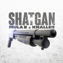 Cover of Shatgan