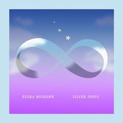 Cover of Silver Ships