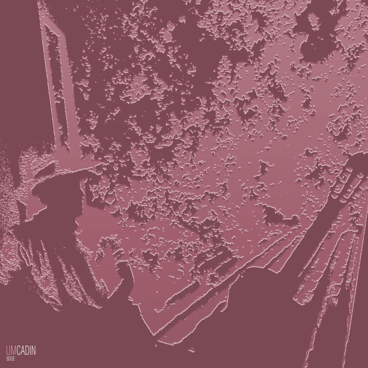 Album cover of Um Cadin