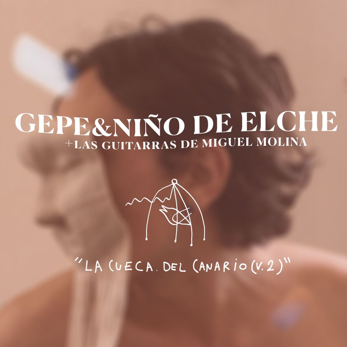 Album cover of la cueca del canario (V.2)