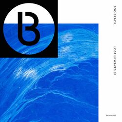 Cover of Lost in Waves