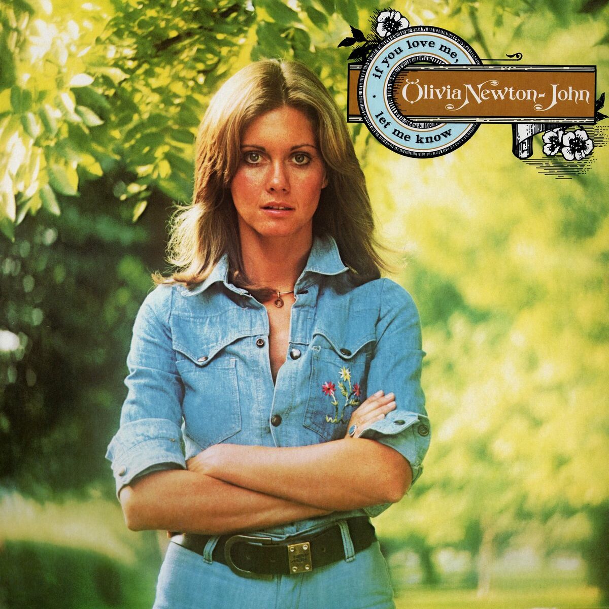 Album cover of If You Love Me (Let Me Know)
