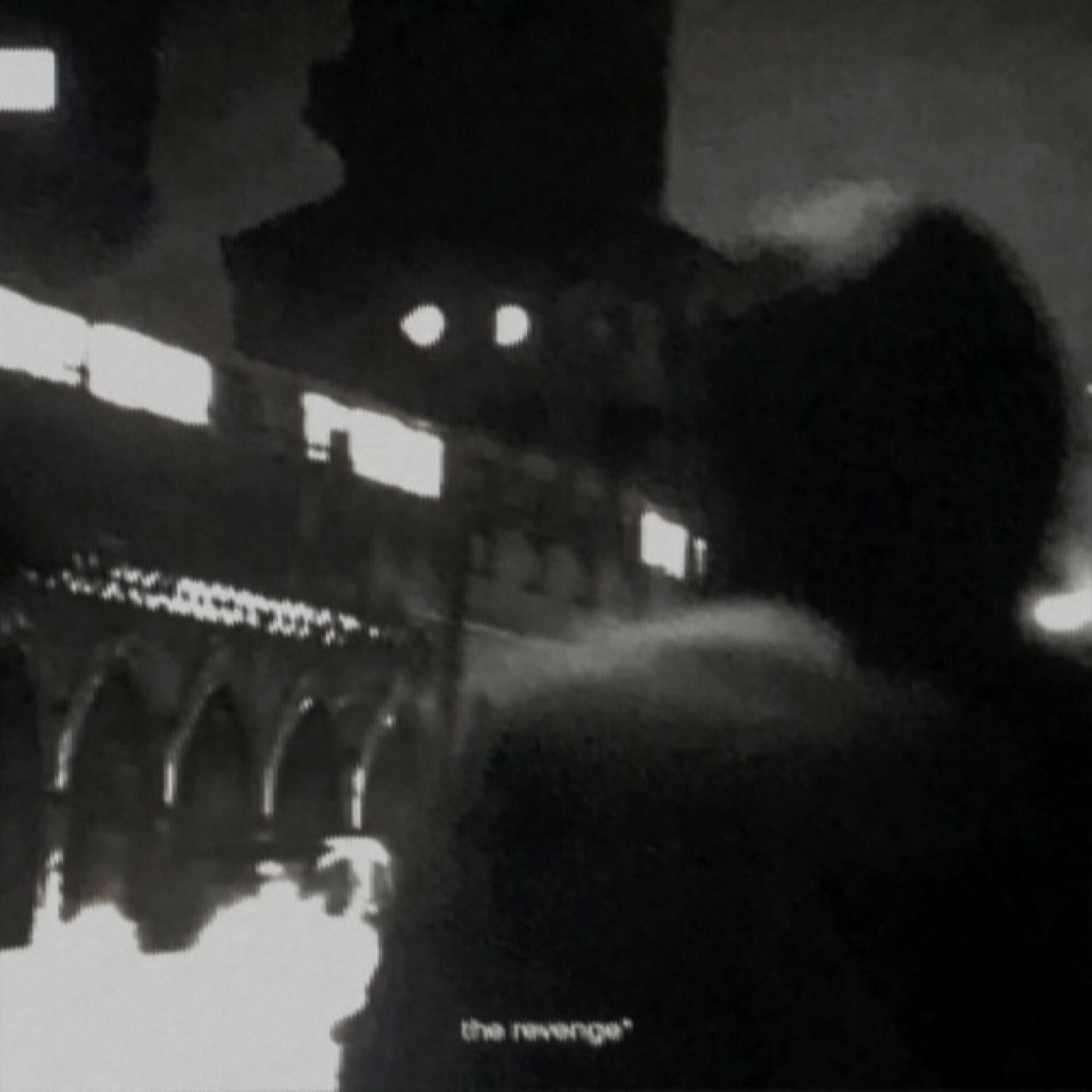 Album cover of THE REVENGE