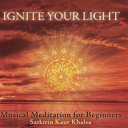 Cover of Ignite Your Light