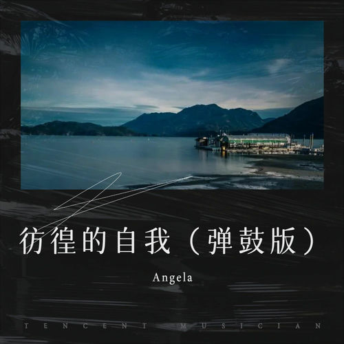 彷徨的自我 (弹鼓版DJRN版)