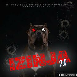 Cover of Izinja 2.0 (feat. Provider SA & Leenathi )