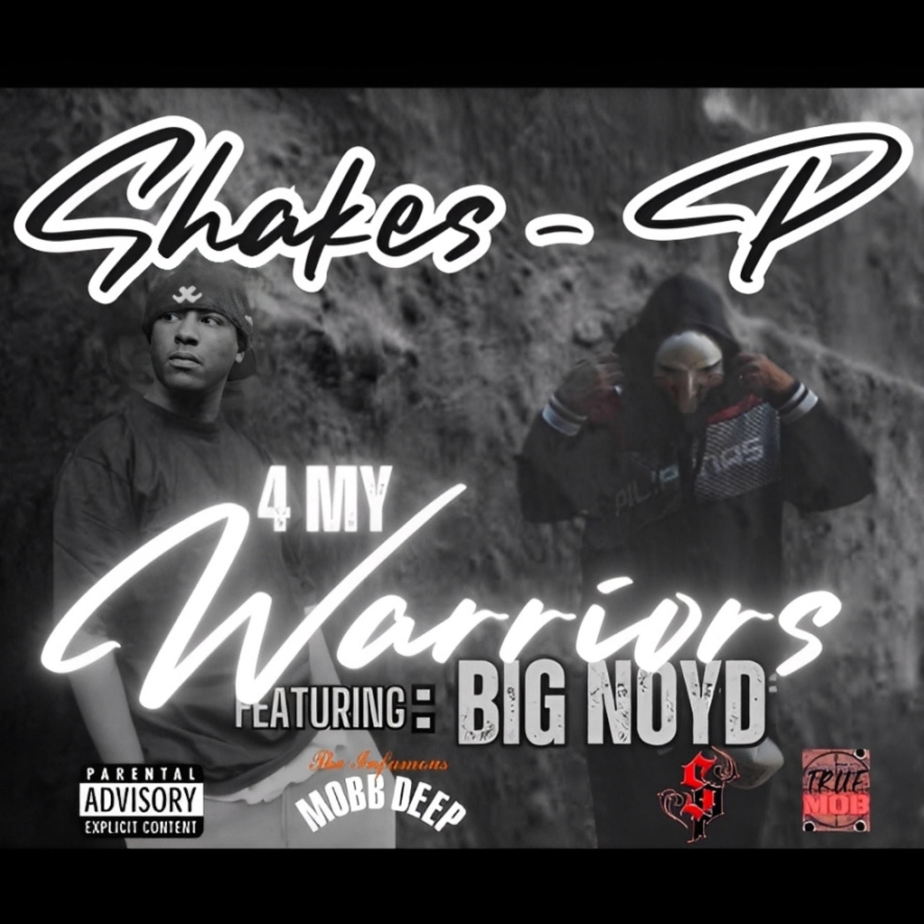 Album cover of 4 My Warriors (feat. Big Noyd)