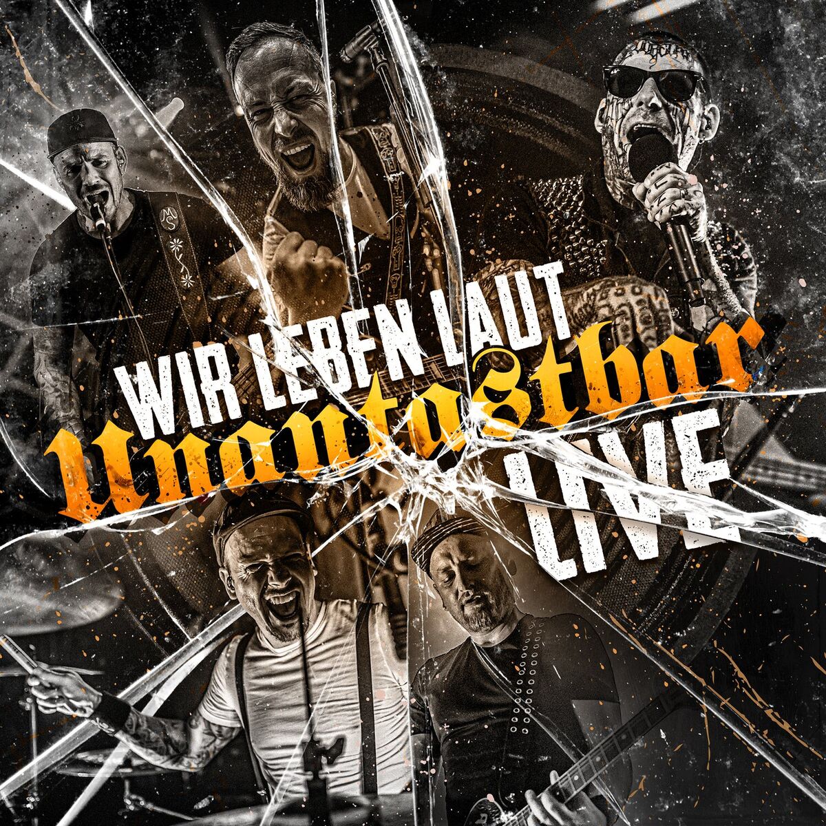 Album cover of WIR LEBEN LAUT - LIVE