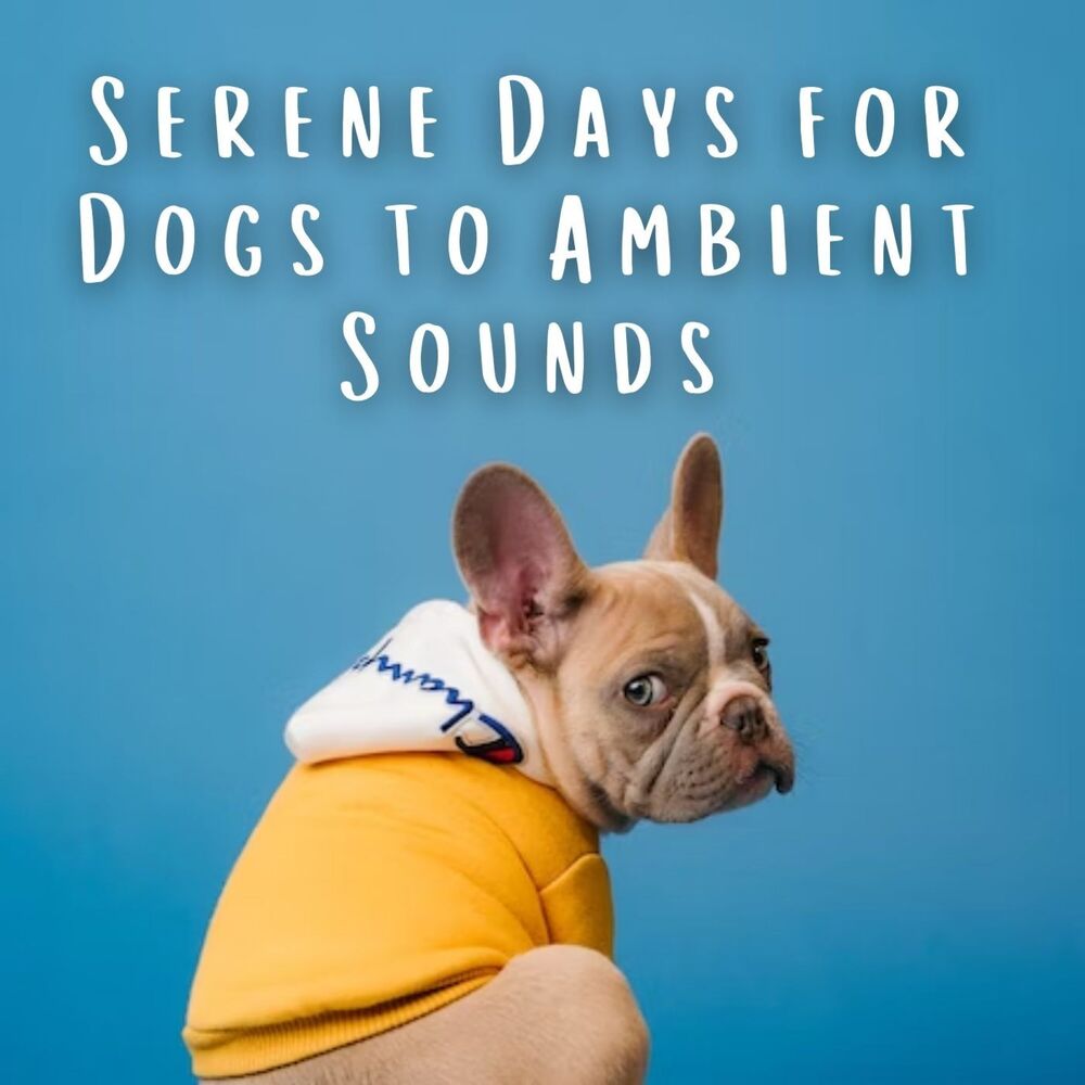 Picture of Serene Days for Dogs to Ambient Sounds