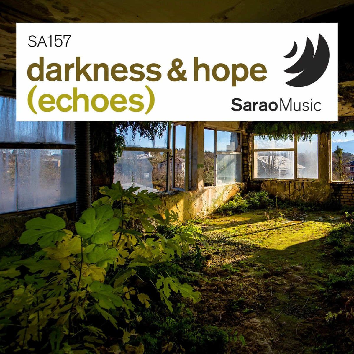 Album cover of Darkness & Hope (echoes)
