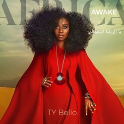 Cover of Africa Awake