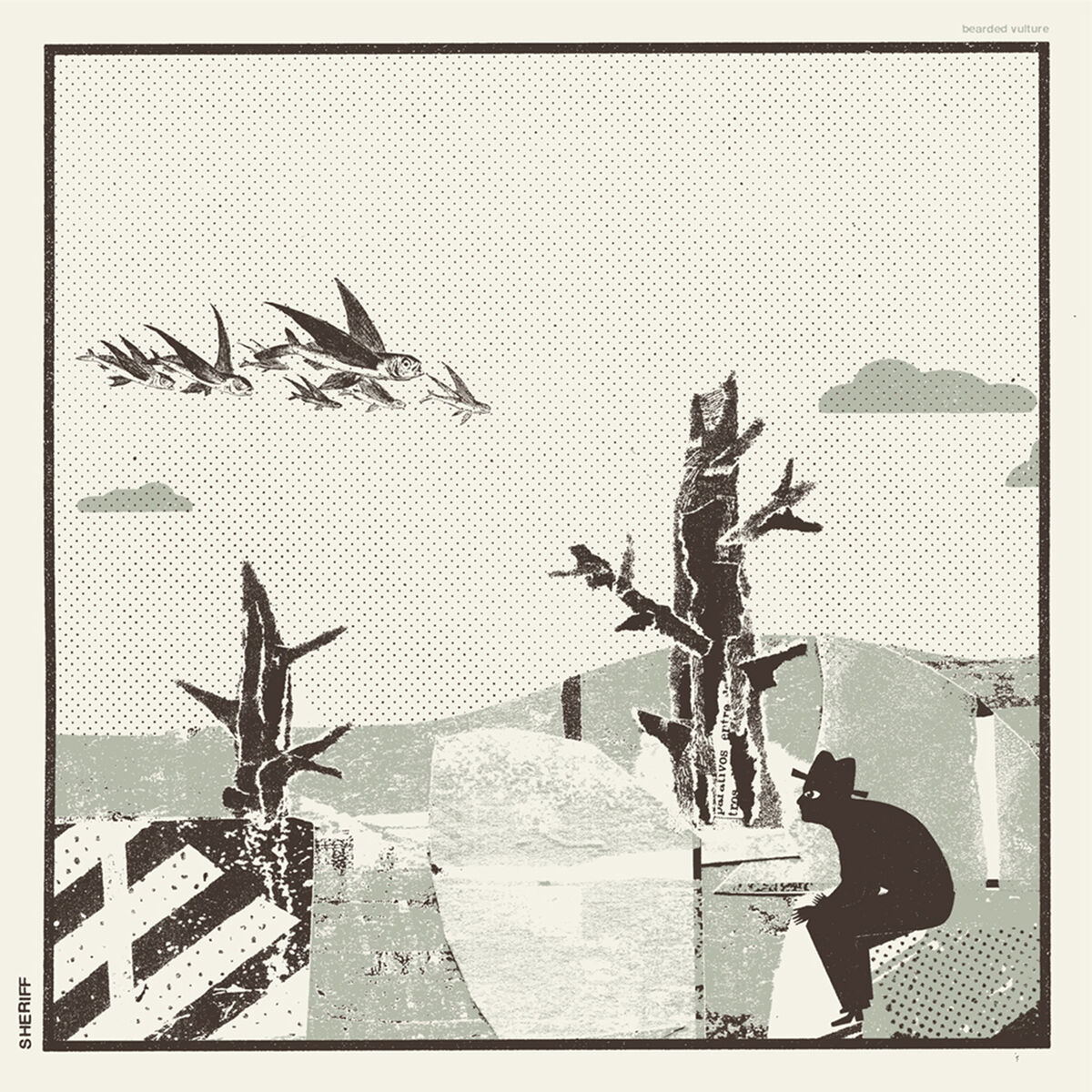 Album cover of Bearded Vulture