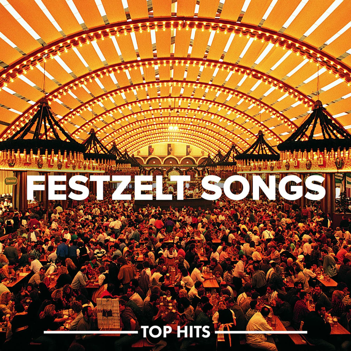 Album cover of Festzelt Songs 2023