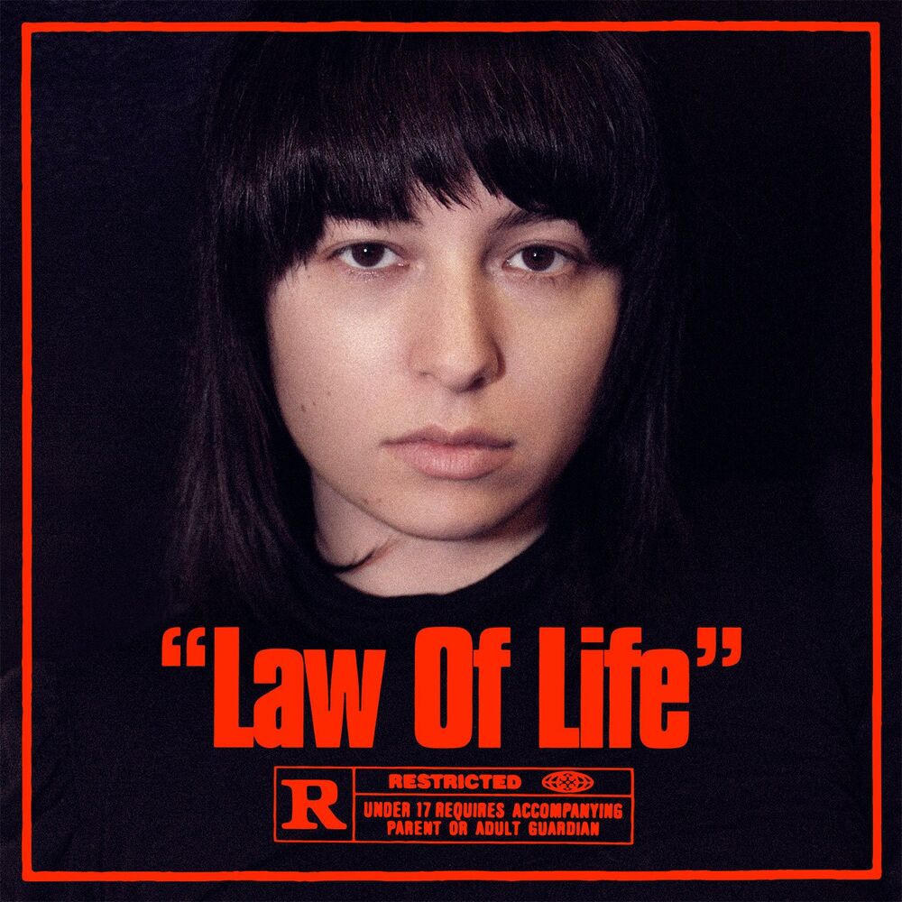 Picture of Law Of Life