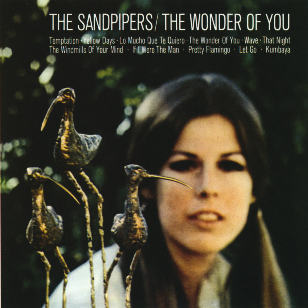 Album cover of The Wonder Of You