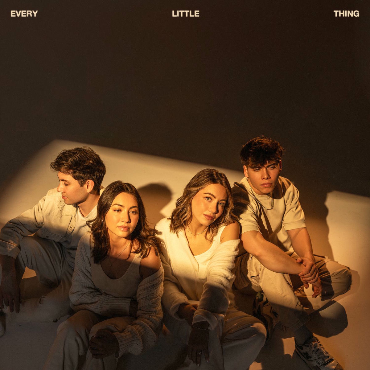 Album cover of Every Little Thing