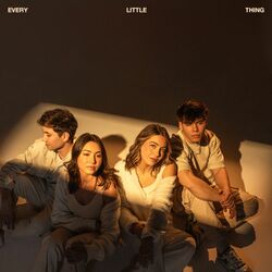 Cover of Every Little Thing
