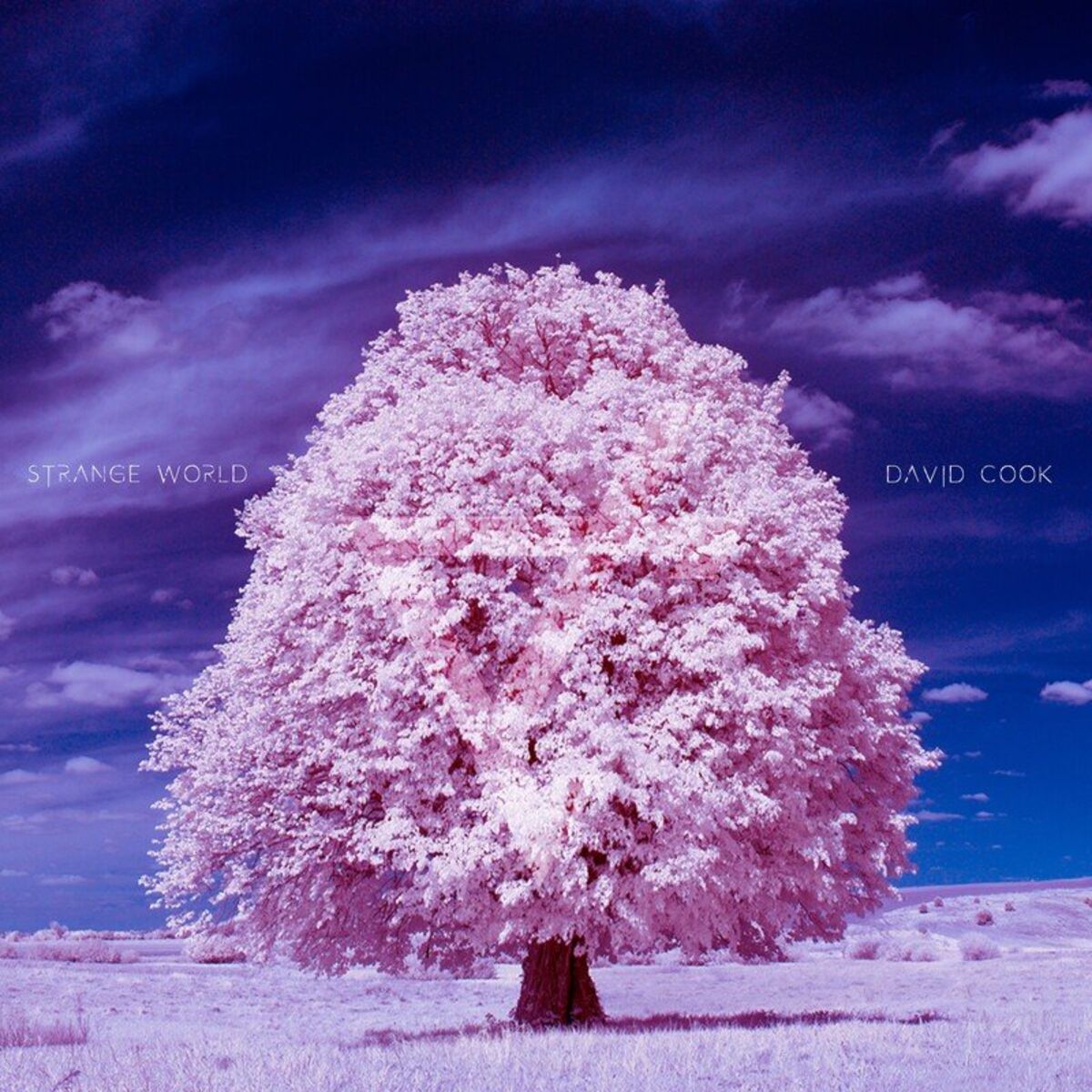Album cover of Strange World