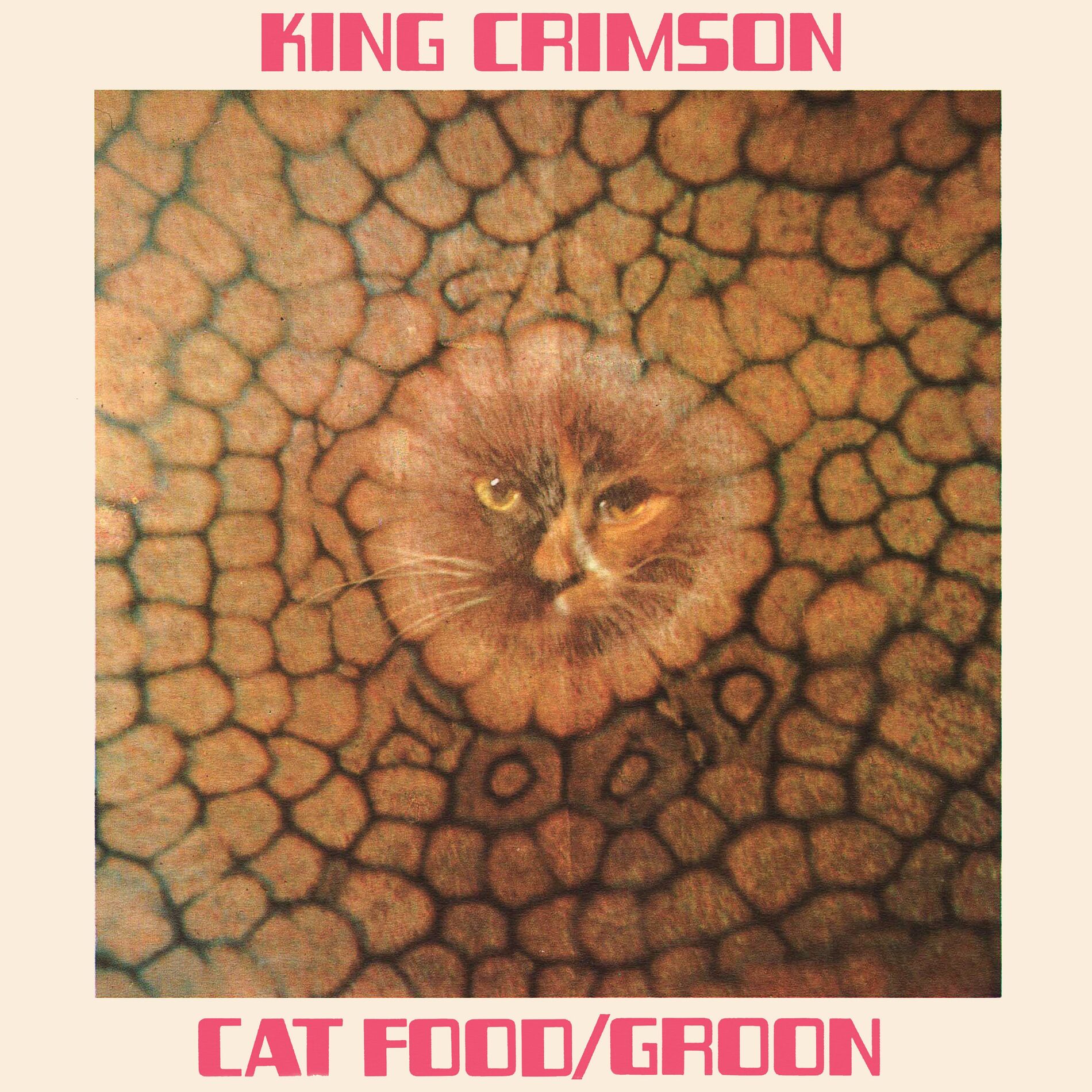 Album cover of Cat Food: 50th Anniversary Edition