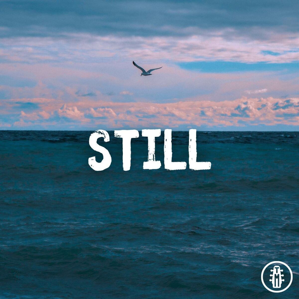 Album cover of Still - Acoustic Instrumental