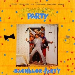 Cover of Bachelor Party