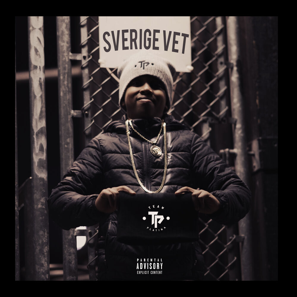 Picture of Sverige Vet