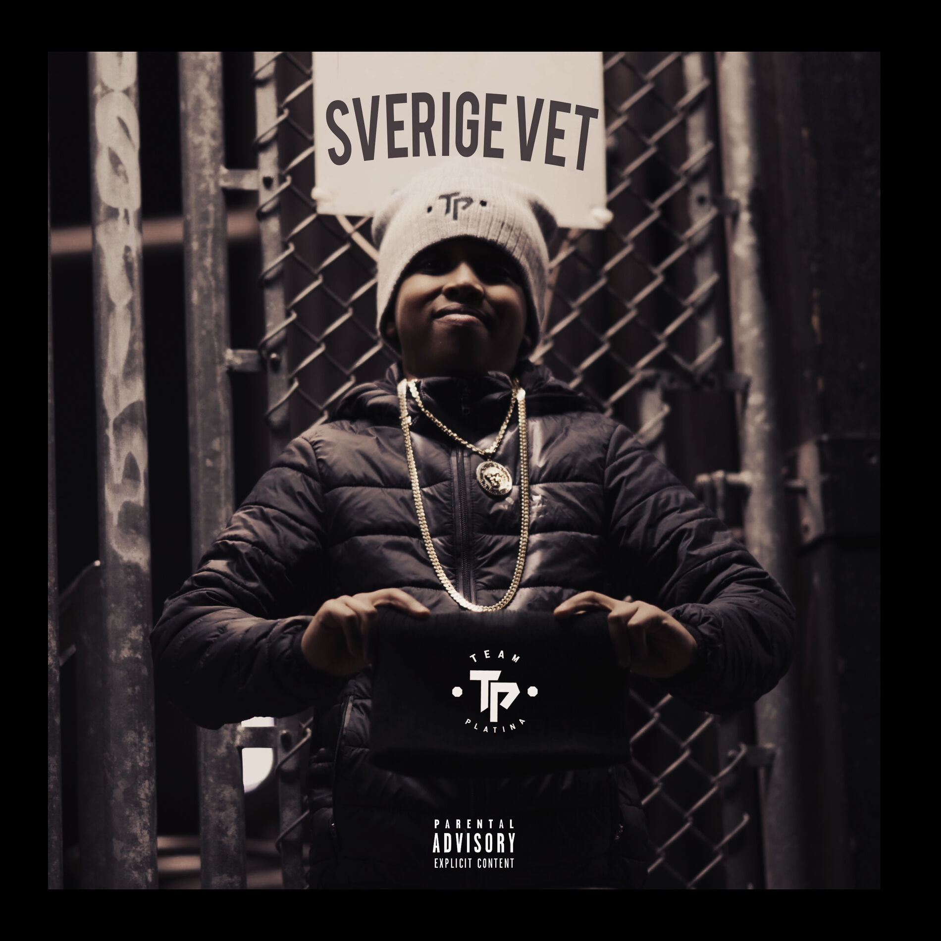 Album cover of Sverige Vet