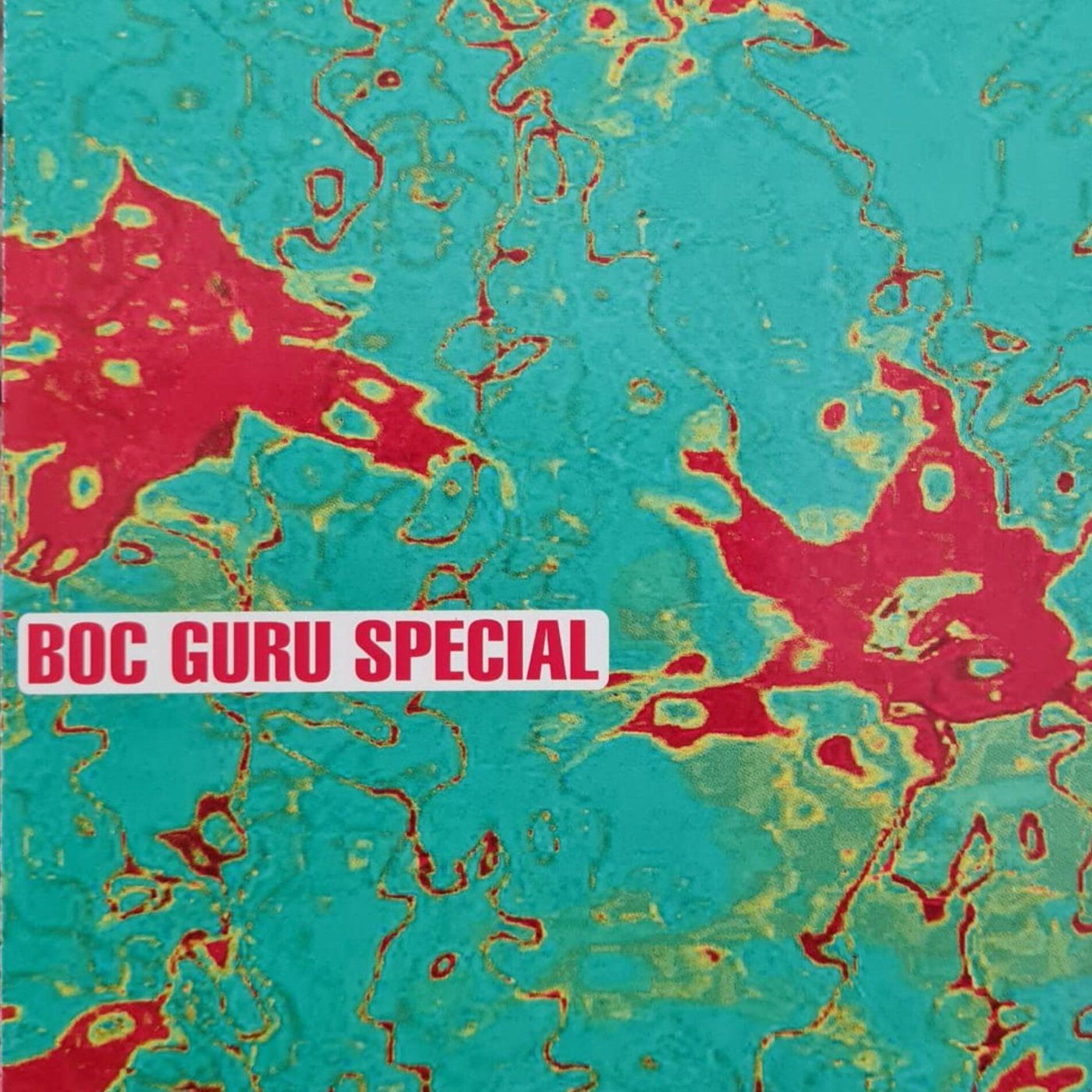 Album cover of Redgreen Advance