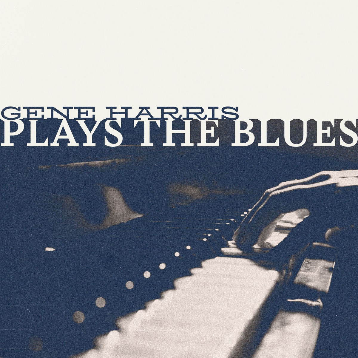 Album cover of Plays The Blues