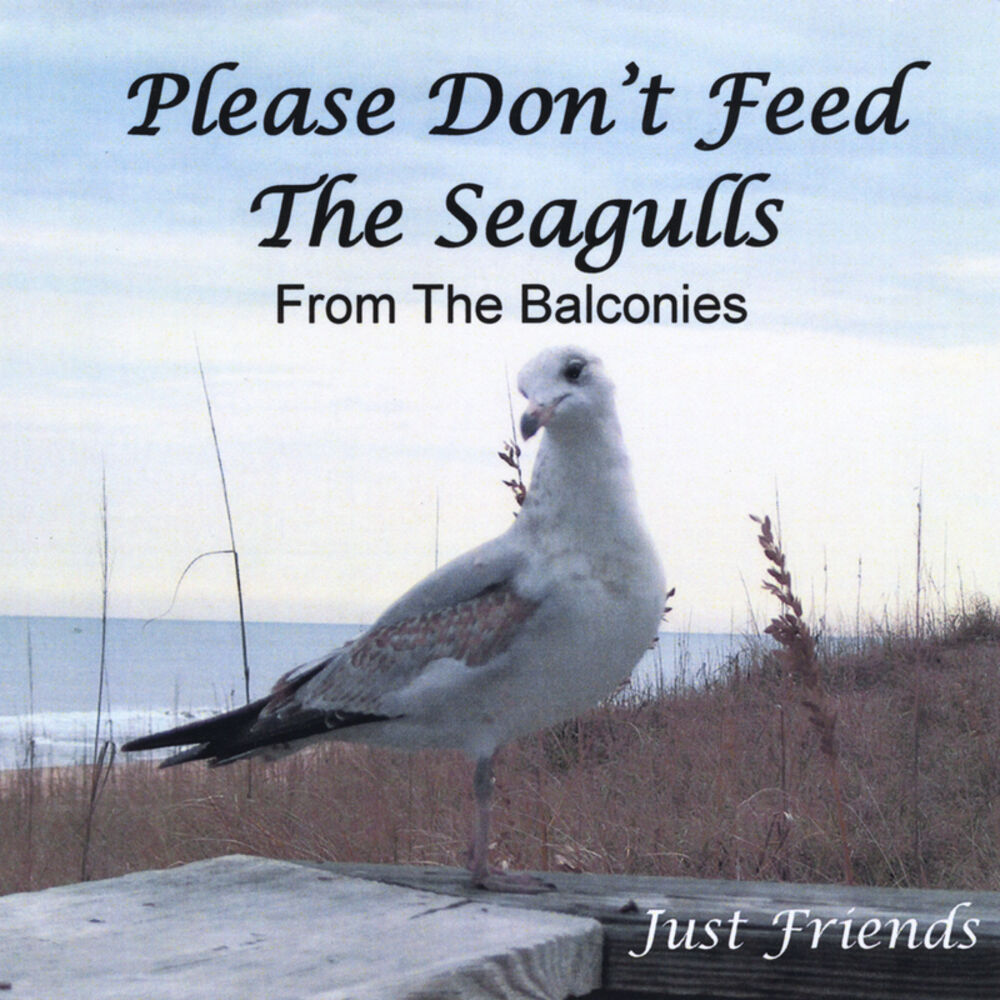 Picture of Please Don't Feed the Seagulls from the Balconies