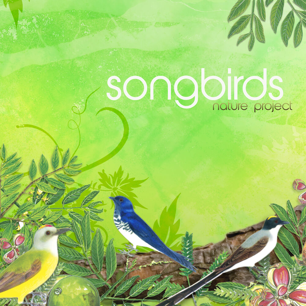 Picture of Songbirds