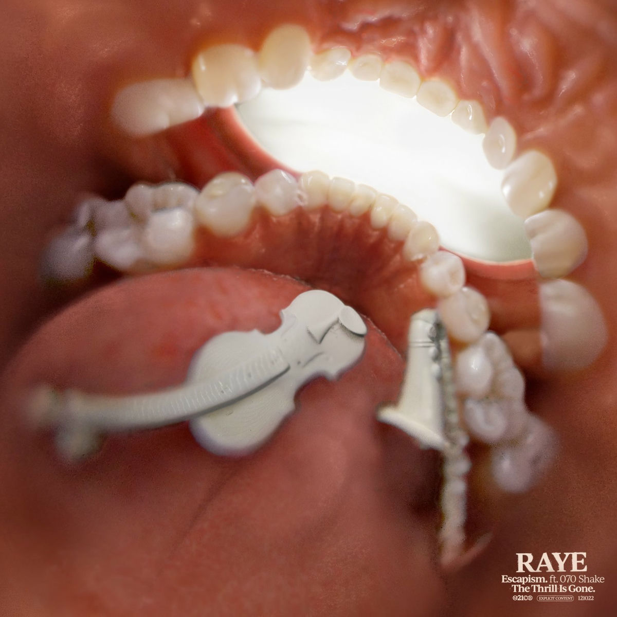 Album cover of Escapism.