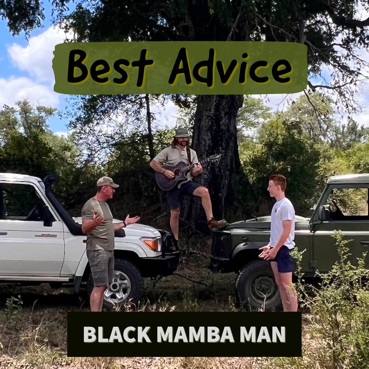 Album cover of Best Advice